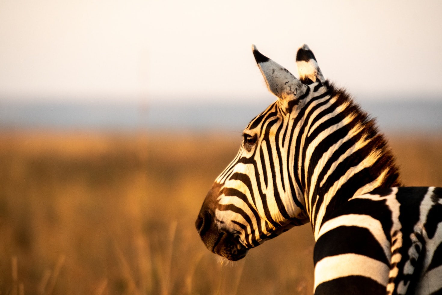 The Ultimate Guide to Adventure Hiking in East Africa